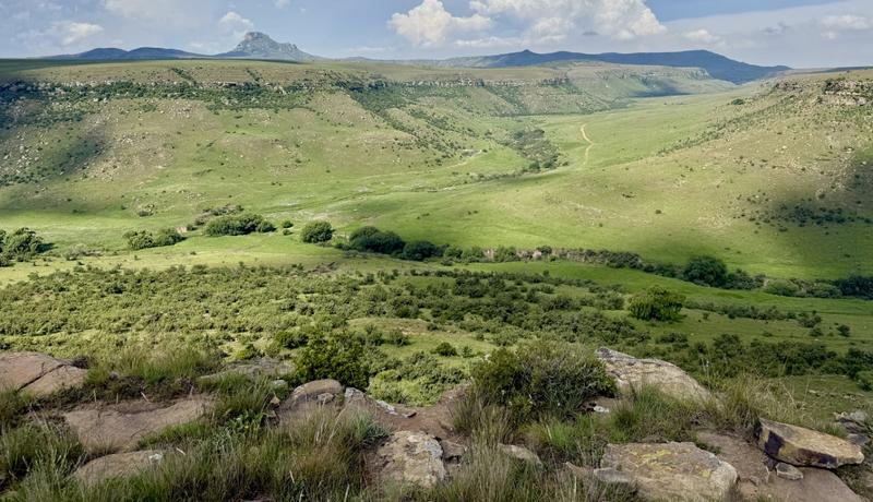 0 Bedroom Property for Sale in Harrismith Free State